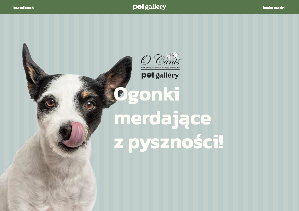 Branding_petgallery_v3_Strona_19