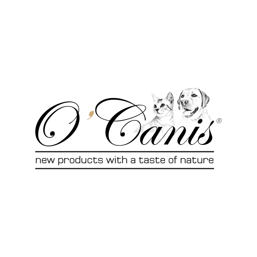 Logo-12